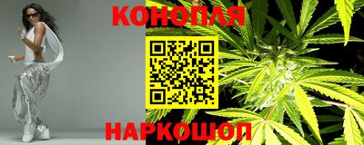 apvp Моздок