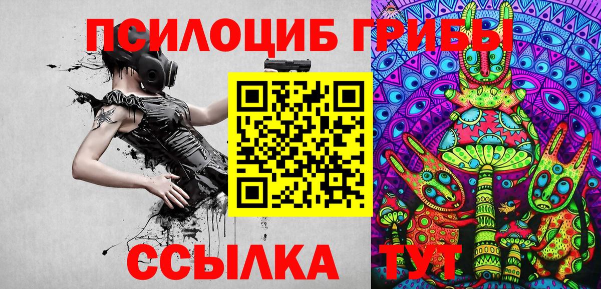 Гусев  Галлюциногенные грибы Psilocybine cubensis  Вход с VPN 